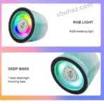 Kisonli C100 speaker - shuhaz.com
