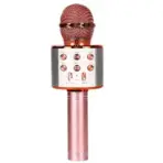 WS-858 Portable Mic & Speaker